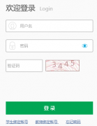 http://czzp.jyj.deyang.gov.cn/login德阳市初中学生综合素质评价记录管理系统