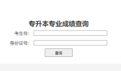 https://www.git.edu.cn/zs/zykkcjcx.htm专业课考成绩查询