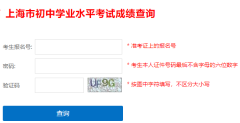 上海市中考成绩查询系统https://www.shmeea.edu.cn/